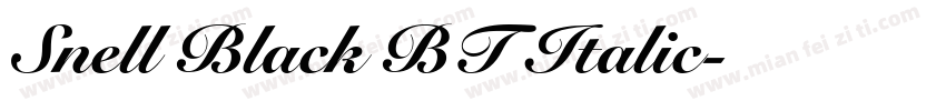 Snell Black BT Italic字体转换